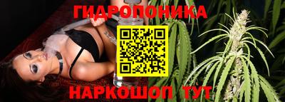 шишки Малгобек