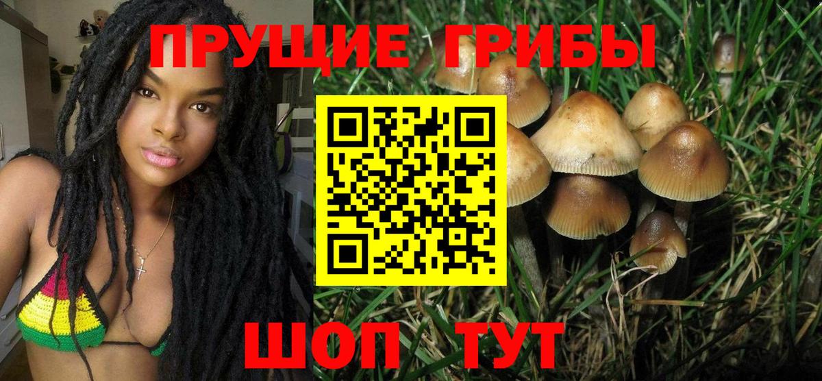 Галлюциногенные грибы Psilocybine cubensis Тара